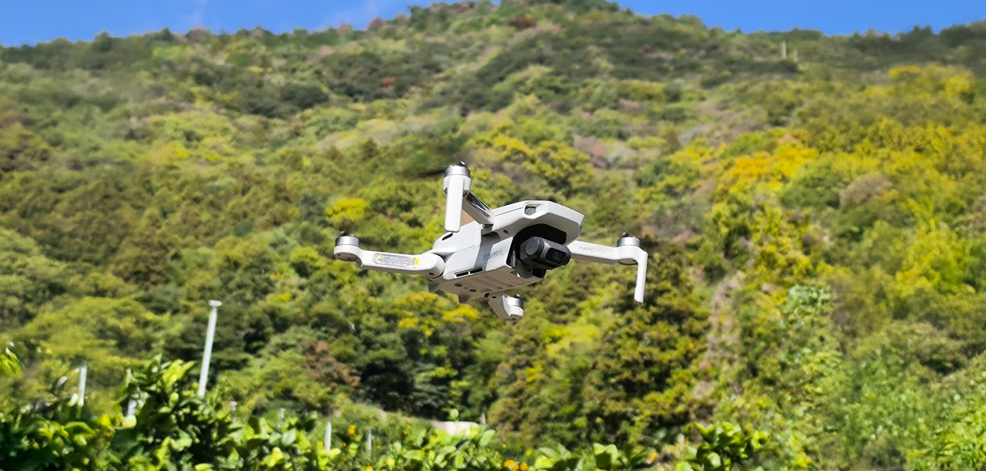 メインイメージ